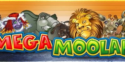 6 Millionen Euro im Jackpot von Mega Moolah