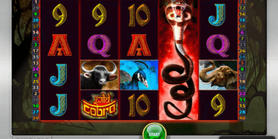 Der Wild Cobra Spielautomat im Sunmaker Casino