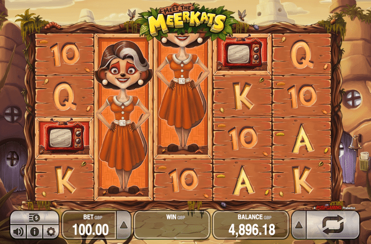 Meet_the_Merkats_Spielautomat_Push_Gaming